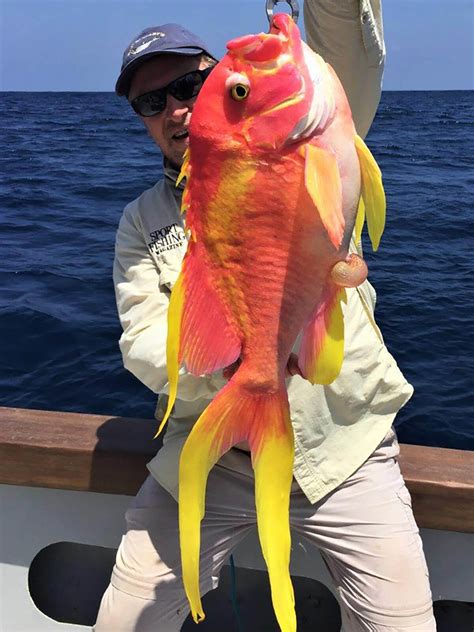 unique fish